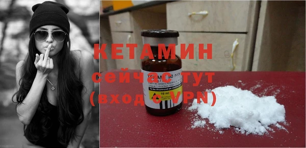 шишки Аркадак