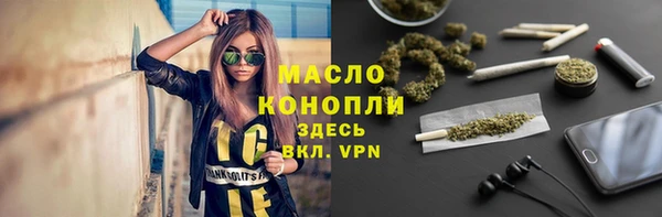 шишки Аркадак