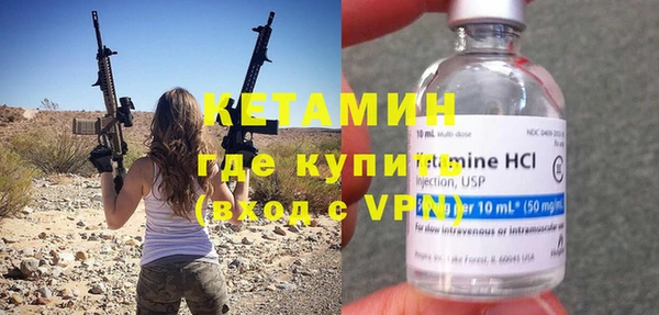 шишки Аркадак