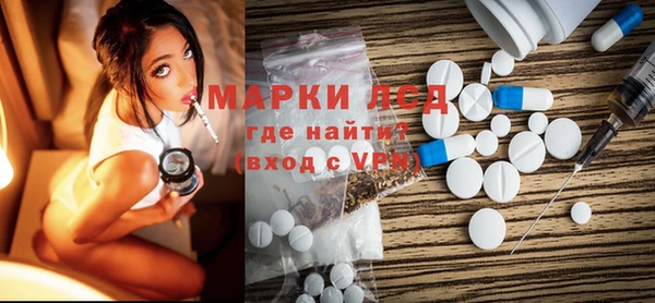 шишки Аркадак