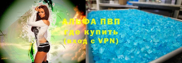 шишки Аркадак