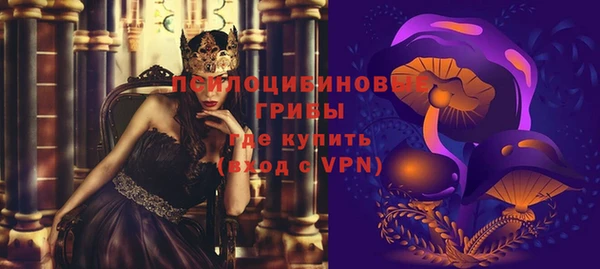 шишки Аркадак