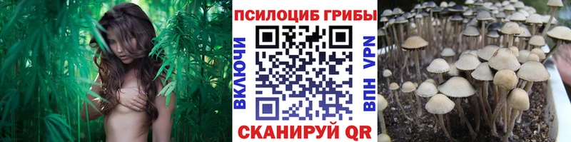 магазин  наркотиков  omg вход  Галлюциногенные грибы мухоморы  Кремёнки 